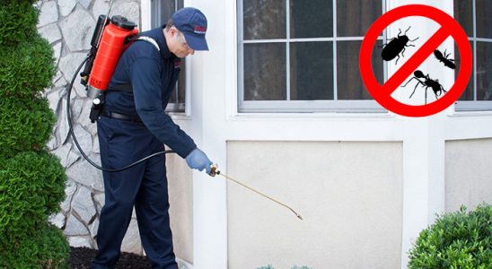 Çal Bit İlaçlama böcek ilaçlama ve haşere kontrolü — ilaclama-tr.com